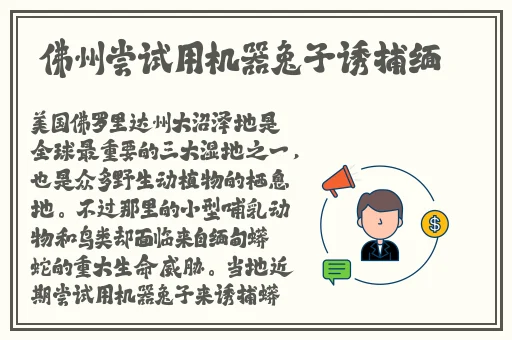 穿裙子打野的好处